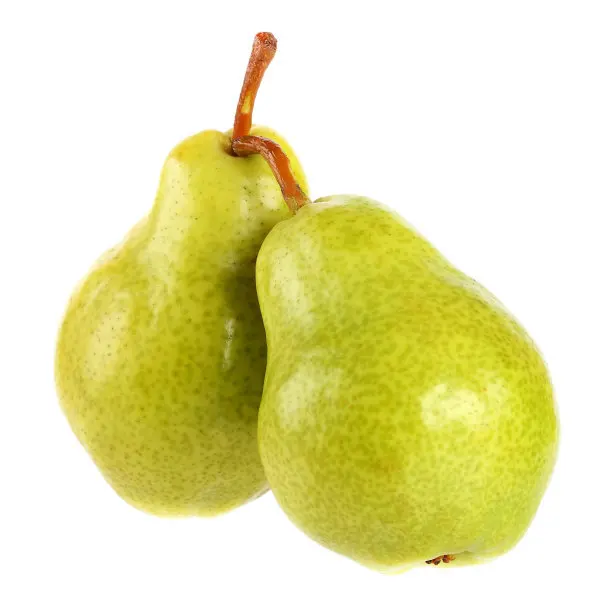 fresh ya pear&new crop&the most lowest price