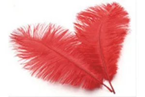 Wholesale High quality Cheap red bulk large ostrich feather