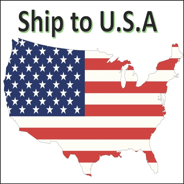 DHL Express Courier air shipping to America Amazon warehouse DDU/DDP USA shipping freightHangJie