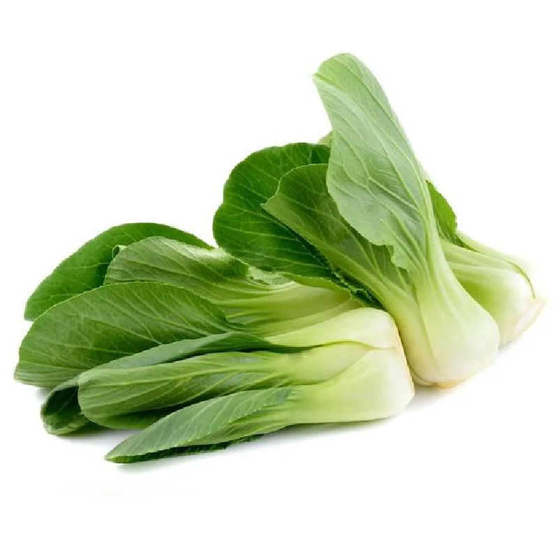 Wholesale Chinese Chard Seeds Green Stalk Cabbage Seeds PAK CHOI SEEDS