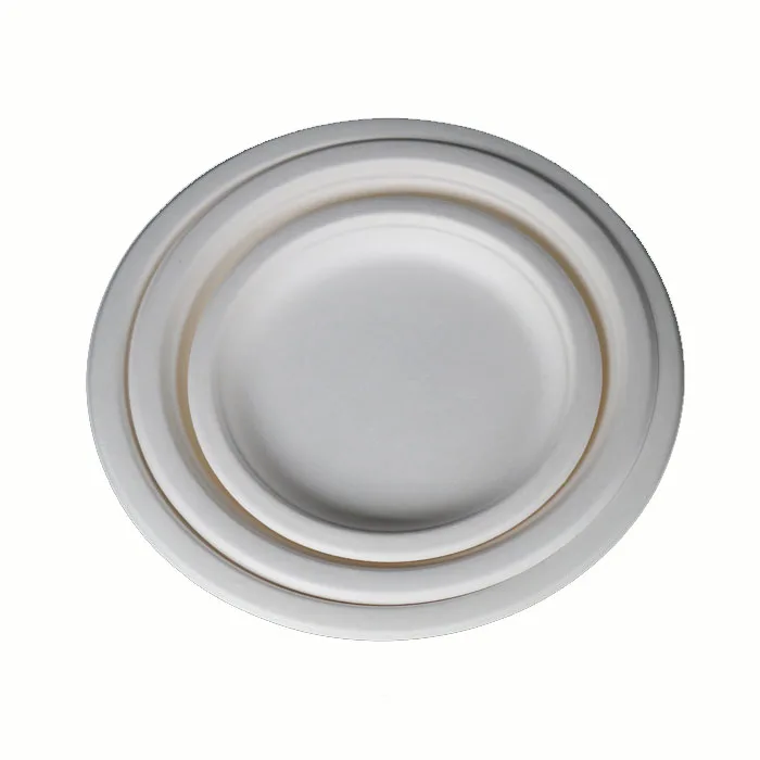 
biodegradable sugarcane fast food dishes and plates 