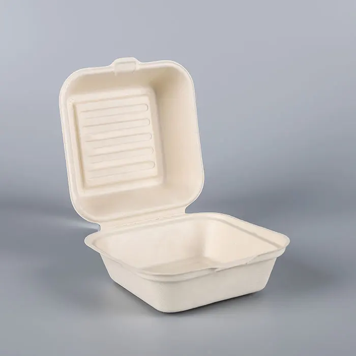 Biodegradable Sugarcane Takeaway Take Out Fast Food Packaging Box Food Containers Biodegradable Packaging