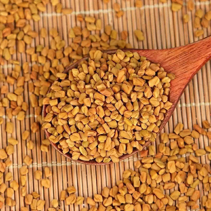 bulk spices Fenugreek Seeds 100% natural Premium Fenugreek Seeds