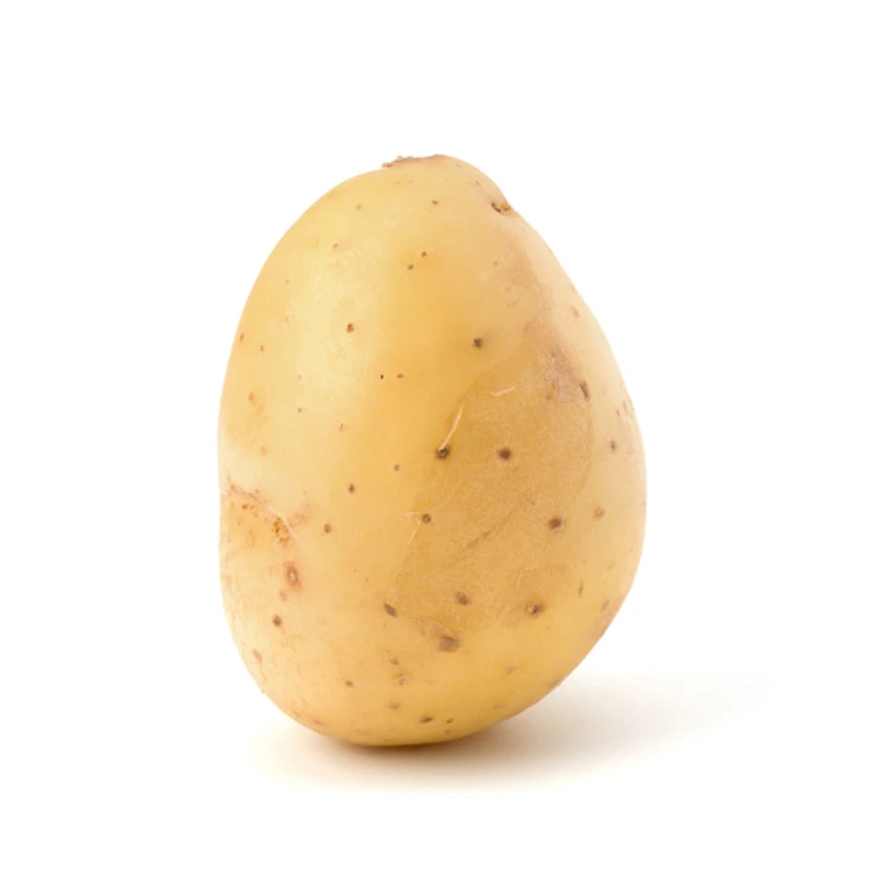 High Quality Bright Yellow Fresh Potato Export Wholesale At Low Price