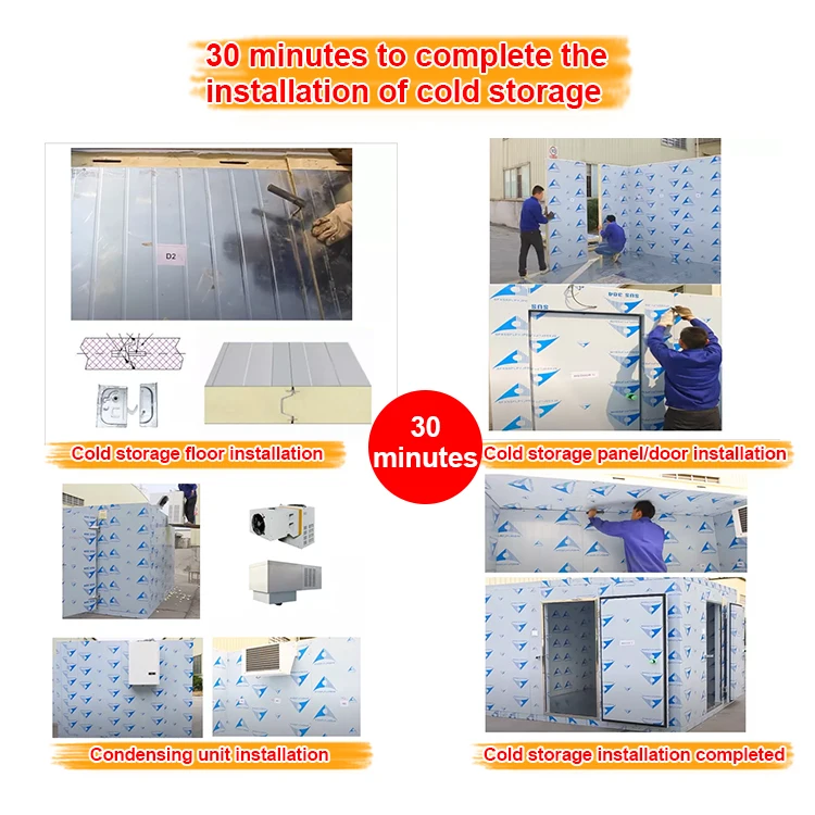 Commercial Customize vegetable refrigerator fruit cold storage room freezing room cold storage units for sale