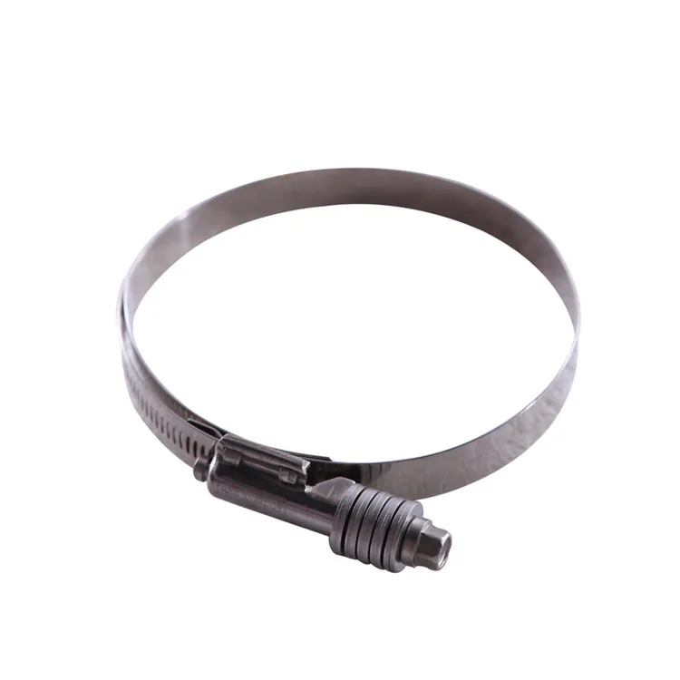 Stainless Steel Heavy Duty European Type Hose Clamp for Automotive