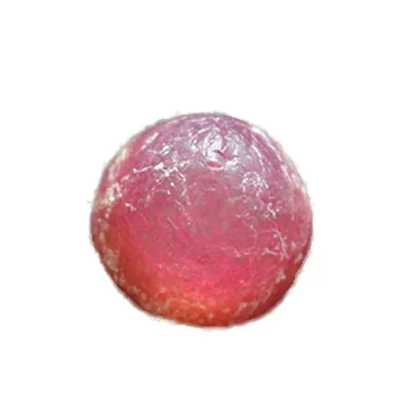 Indoor perennial nature product Succulent plant Aizoaceae Conophytum