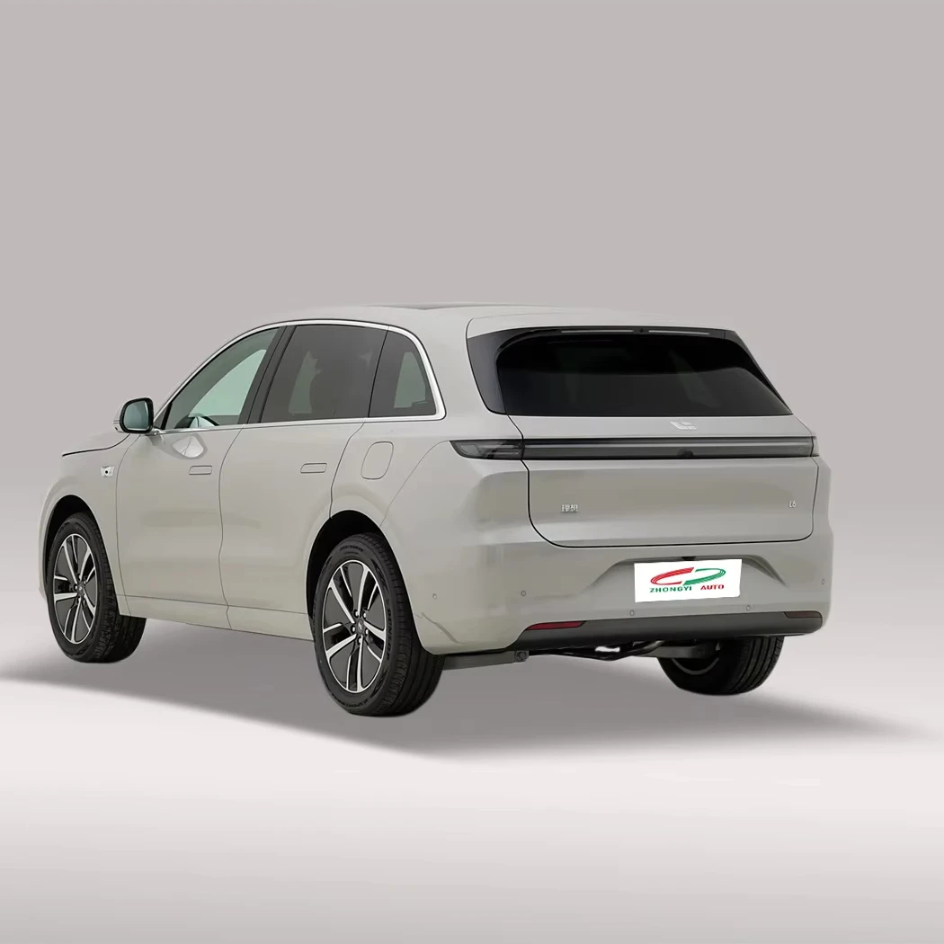 Электрический и Подержанный автомобиль ведущая идеальная модель 2024 L6 Pro дешевый для взрослых