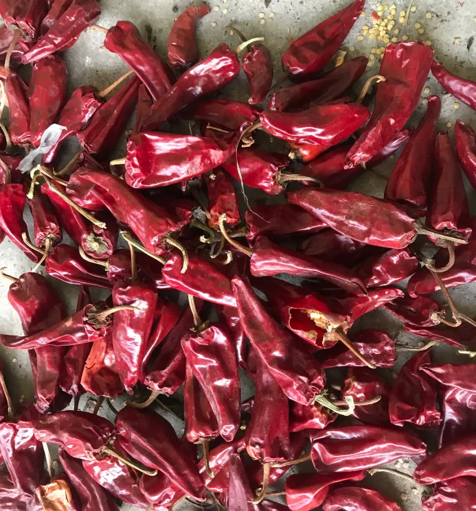 2022 new crop yidu red chili dry red chili for sale beijing red chili