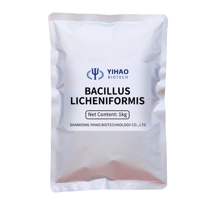 Factory Price Promote Health Compound Probiotics Organic And Natural Probiotics Dogs