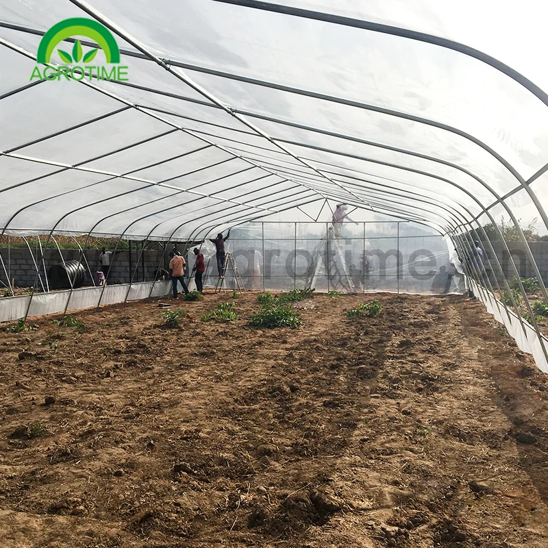 agriculture farming complete greenhouse grow Arch shape high tunnel green house for crops planting