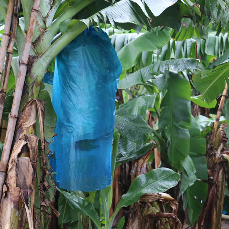 Fruit protection bags  agriculture banana bags  Non-woven fabric bags