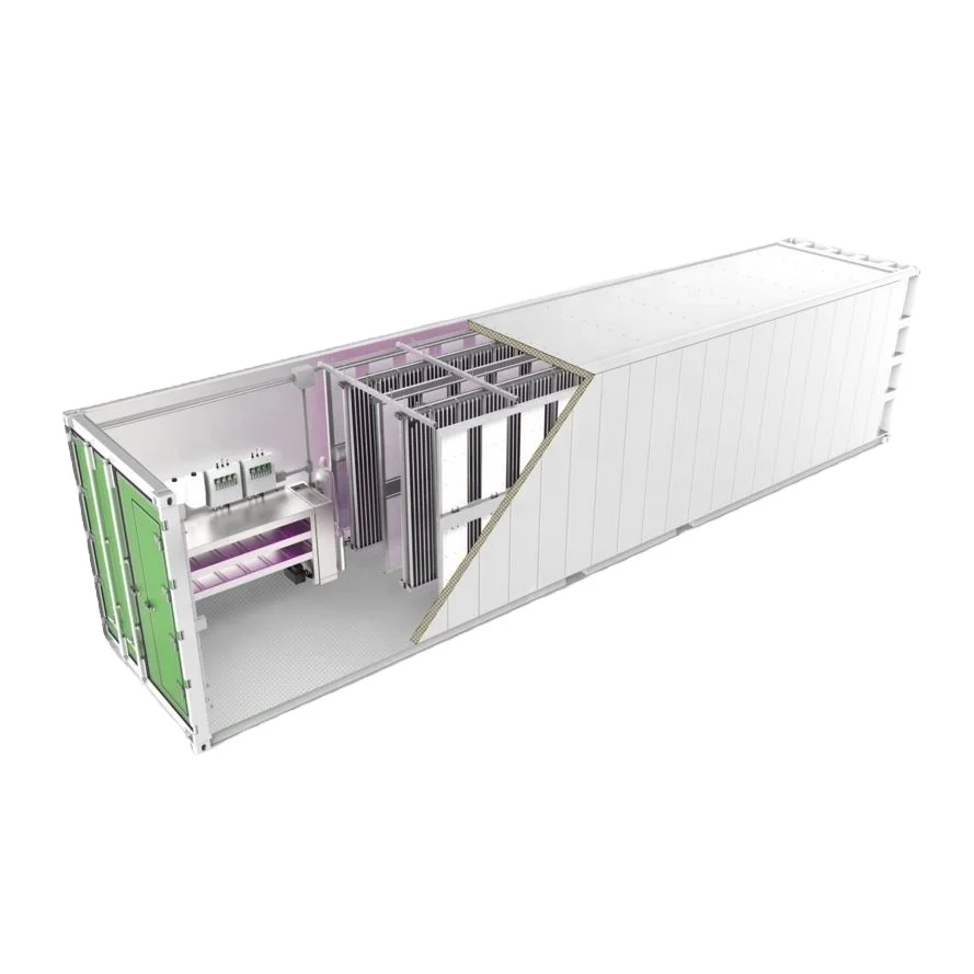 40 foot container hydroponic farm greenhouse agricultural growing system