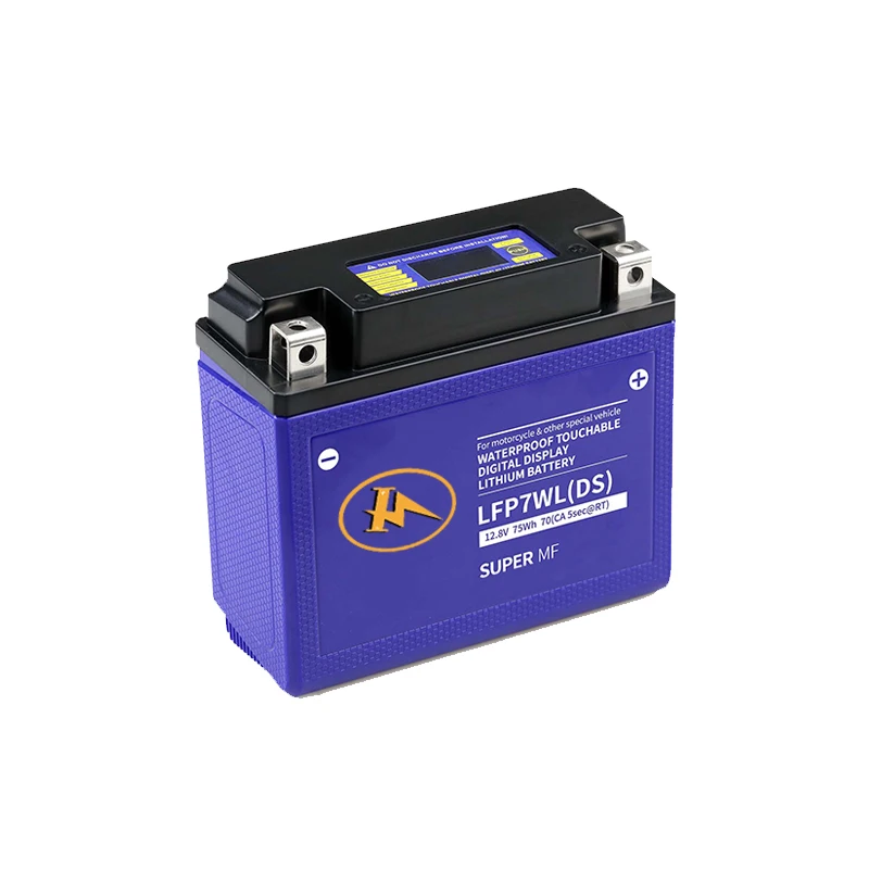 OEM/ODM Customizable Deep Cycle  Featherweight Ideal Replacement Backup Lithium Battery