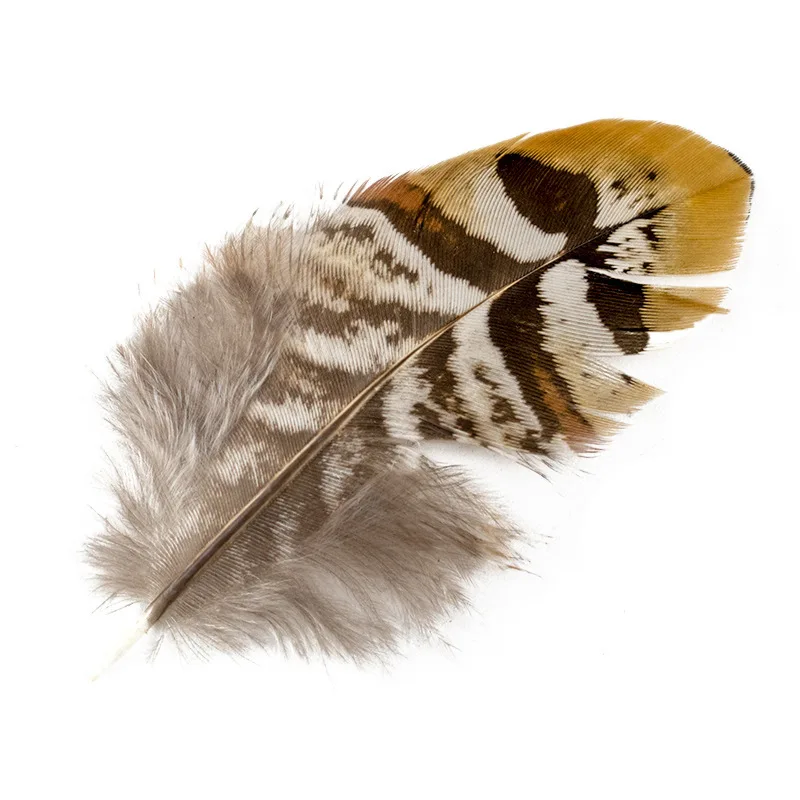 50 Piece/Bag Natural colorful wild chicken feather figure Pheasant feathers for DIY garment craft accessories width 6-16 cm