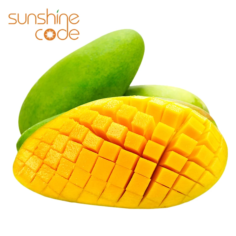 Sunshine Code fresh mangos from india green mango wholesale dubai mango importers