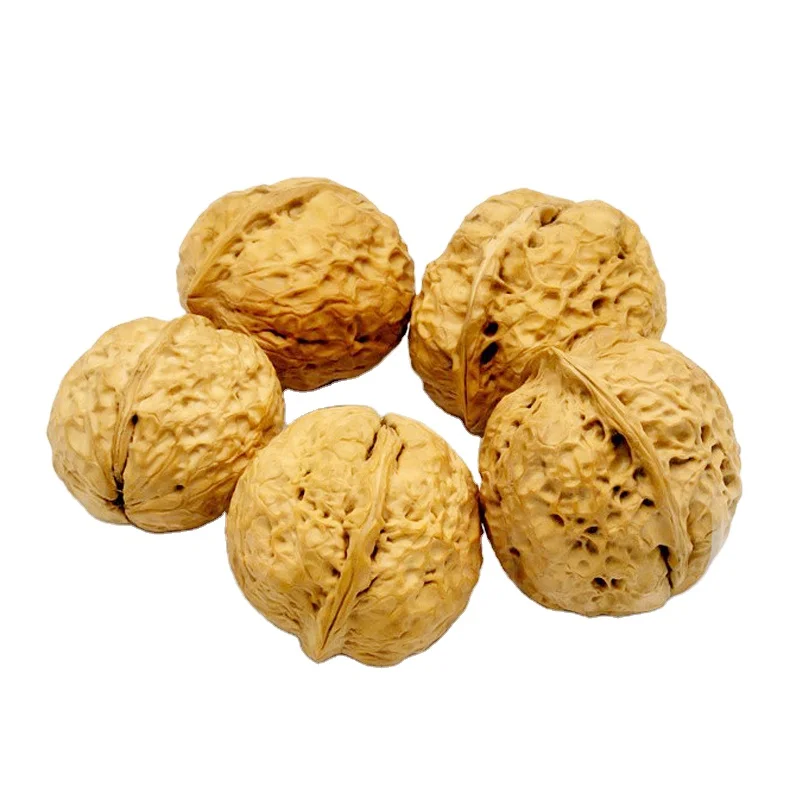 Premium quality walnuts for kazakhstan Cheap price raw walnuts for export Factory direct sales walnut snack