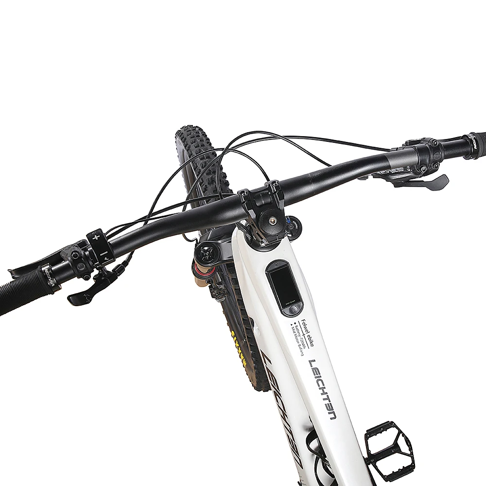 2024 New Arrivals leichten EMTB Carbon frame 250w/500w downhill full suspension electric mountain bike