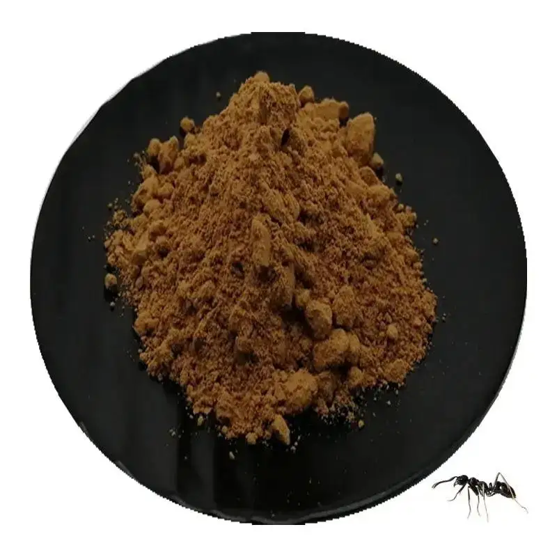 Food Grade Black Polyrachis Ants King Extract Solvent Extracted Herbal Ant Powder in Drum Packaging for Health Foods