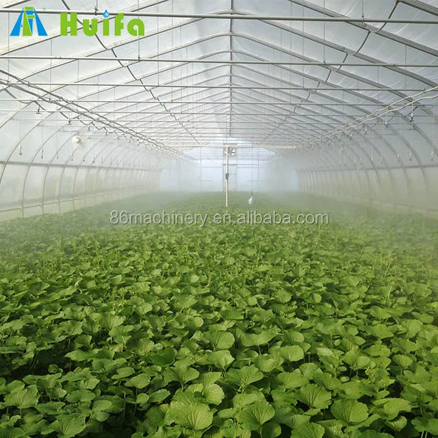 Industrial Single Span Mushroom Grow Tent Greenhouse Tunnel Polycarbon Light Dep Automatic Curtain Hydroponic Greenhouse Garden
