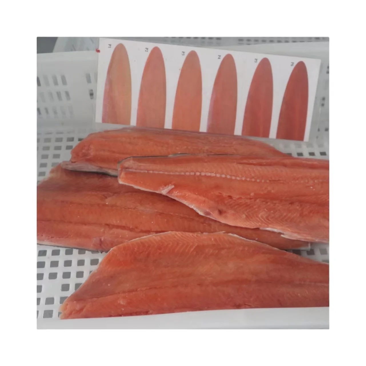 Bulk Packaging and Tuna Variety Frozen Yellow Fin Tuna Fish Cut