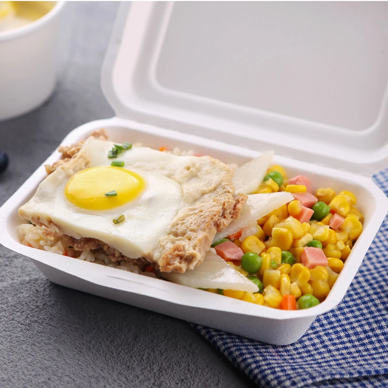 Hot Sale Noodles Packaging Boxes,Compostable Square Food Boxes Lunch Boxes