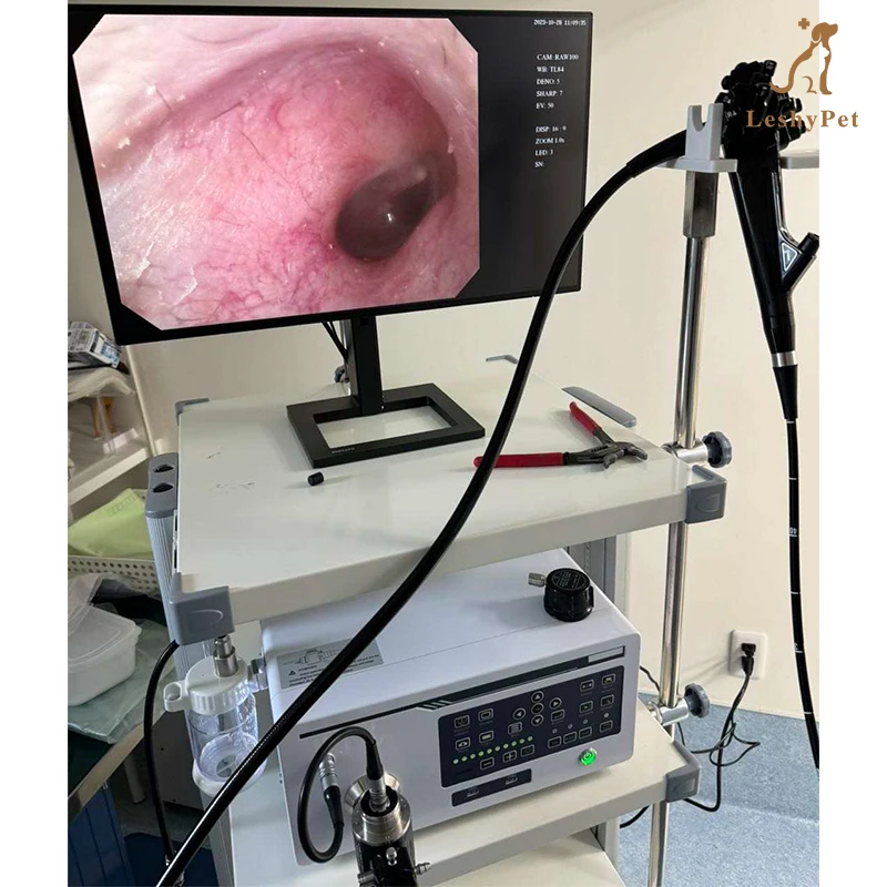 Leshypet Veterinary Electric Flexible Gastroscope And Colonoscope In One Set With Video Endoscope Camera System And Lcd Monitor