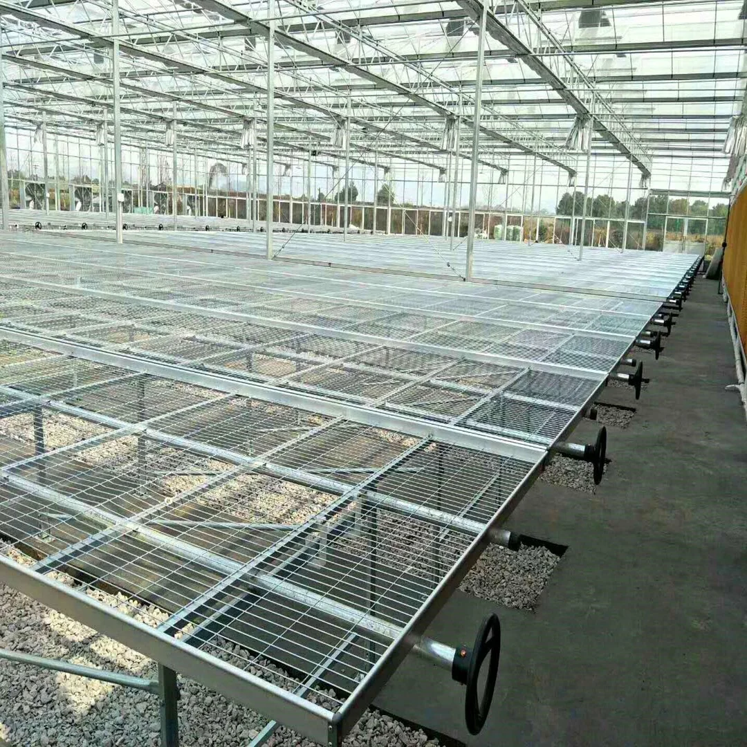 
Medical Herbs Growing Hot Dipped Galvanized Steel Frame Greenhouse Plants Nursery Grow Bed For Table Garden 
