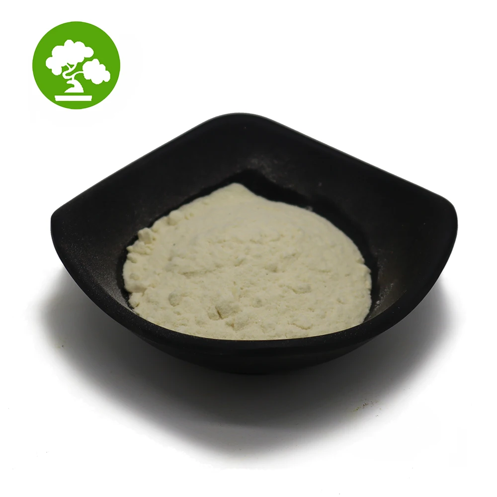 HFactory supply   Soy Protein Powder Food Grade