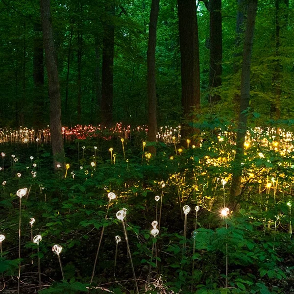 MZG Landscape Bulbs Ball Fiber Optic Light For Holiday Outdoor Garden Patio LED Fiber Optic Ball Lighting