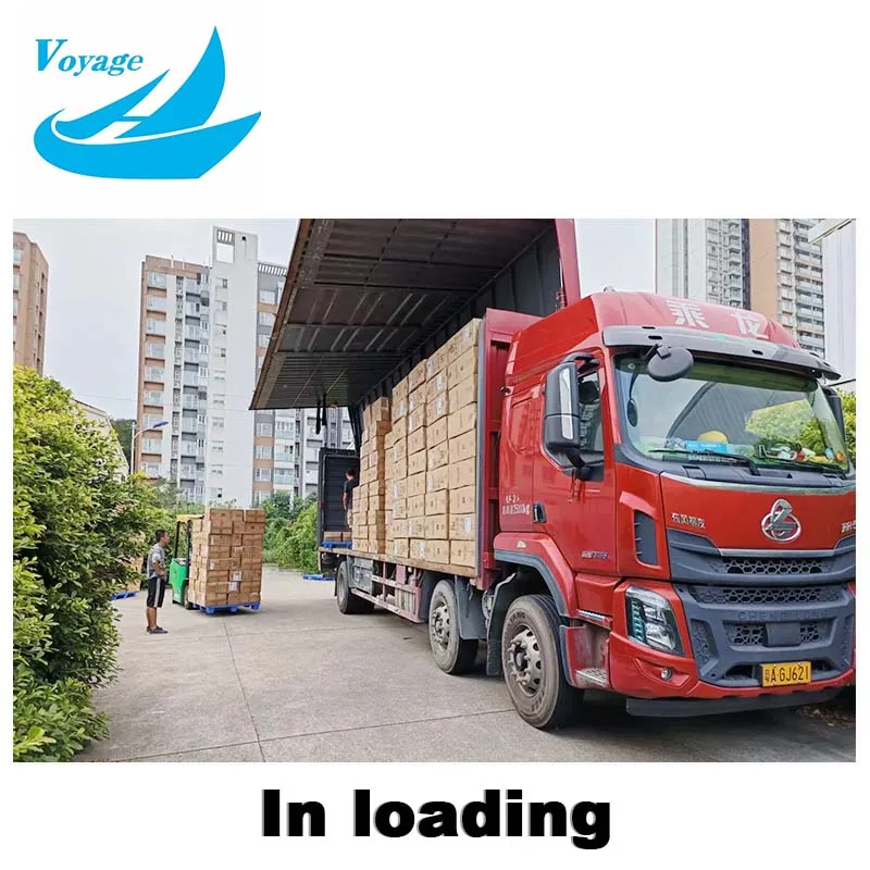China to Poland truck truck 4