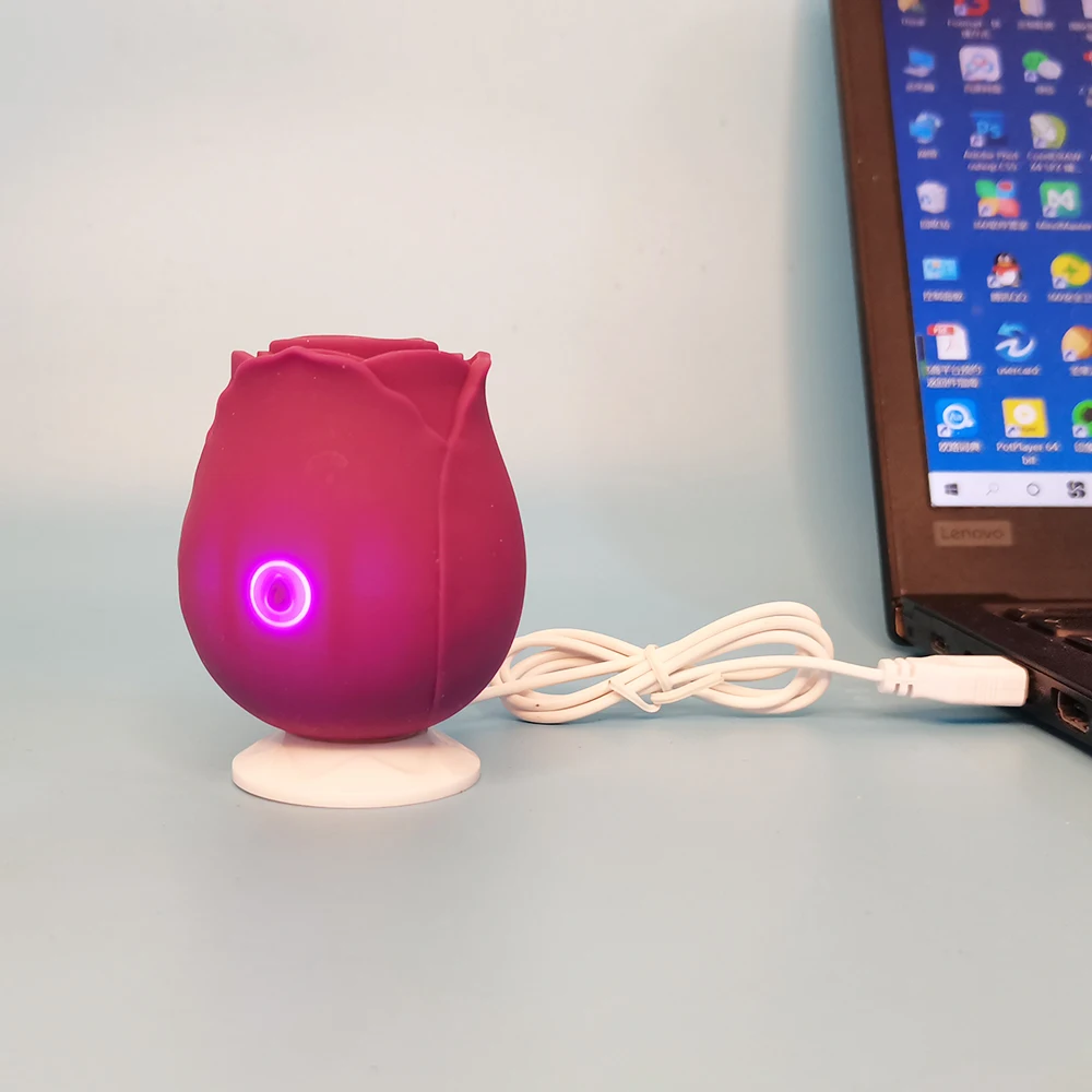 Charger  for Rose Sex Toy Vibrator, Regular Rose Vibrator  Charger  , Rose With Tongue Charger