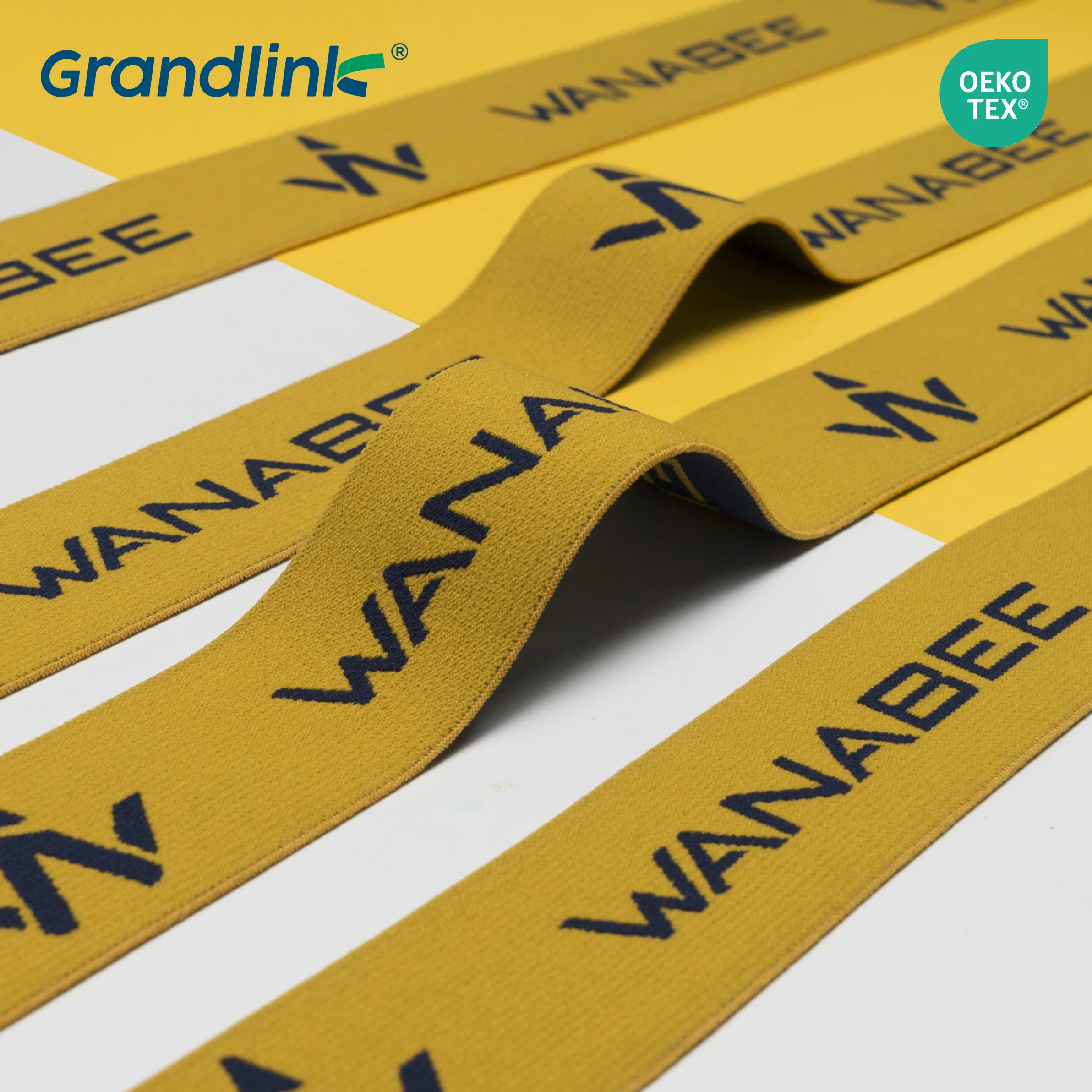 clothing accessory jacquard elastic waistband bands rope webbing underwear 2 inch nylon webbing OEKO