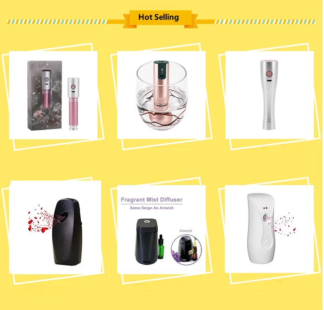 Private label  USB rechargeable Mini handy portable Nano spray mist new personal facial steamer canada