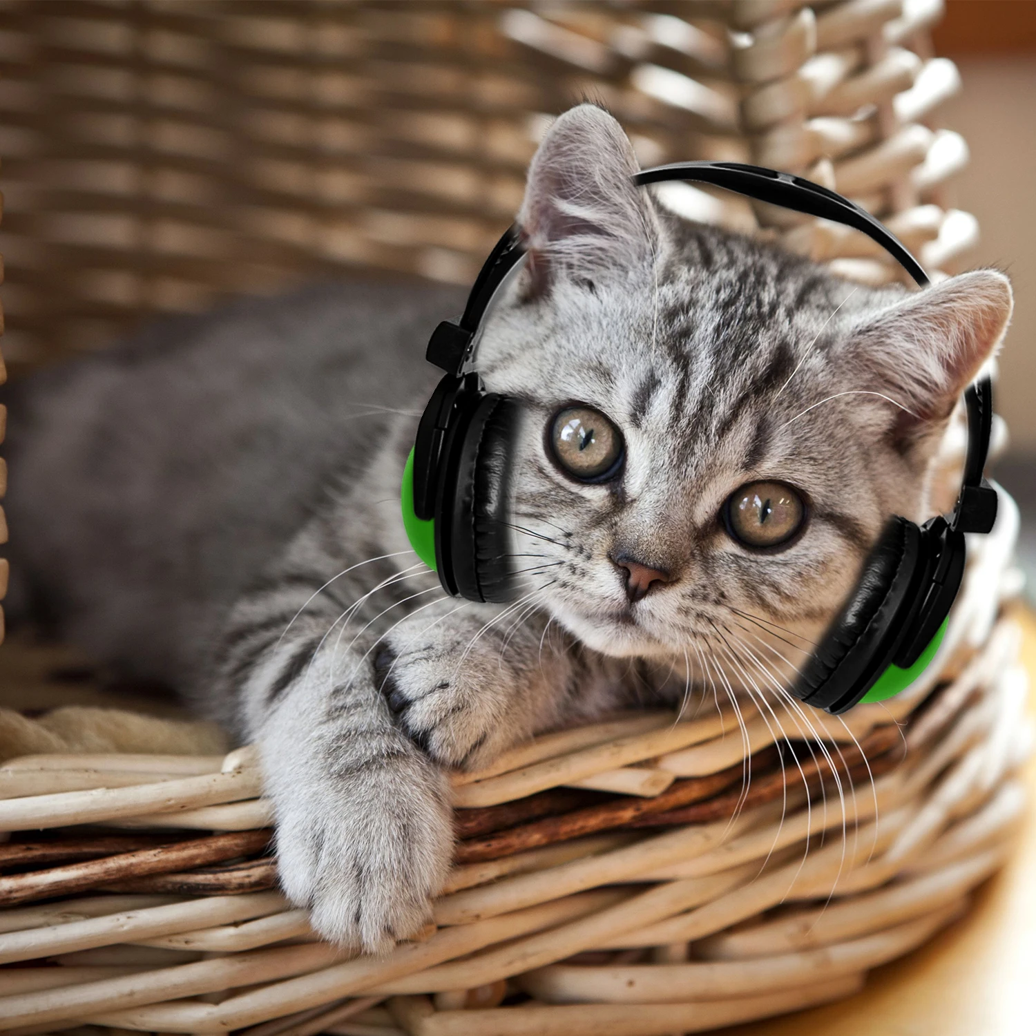 pet decoration headphone for doll toy dressing earphone custom your won brand wholesale headphones