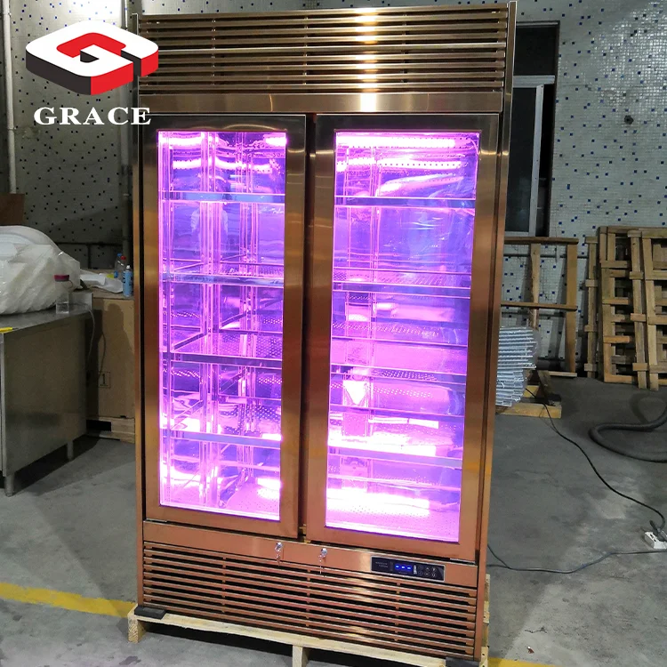 Grace 500L single door Strong air purification meat ager aging refrigerator beef age dry aged fridge