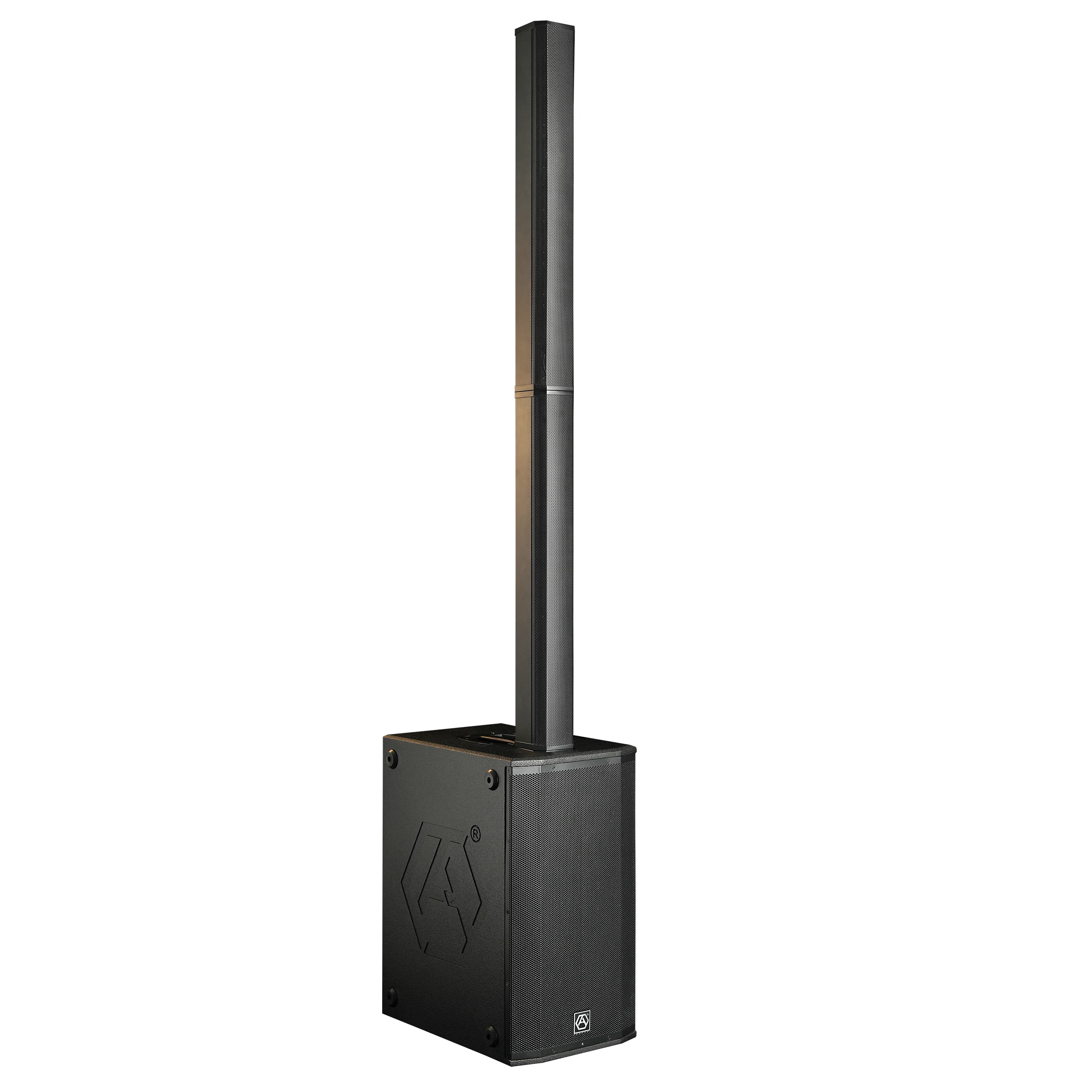  Precision Pro Audio AC22 уникальный новый модульный дизайн 2*10 'сабвуфер RMS 800 Вт PA система активная Колонка Напольные