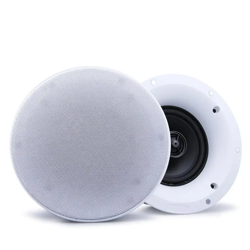 Ceiling Speaker System altoparlante coassiale 5 inch Solar 8 inch China Component 50 Watts Professional Singing Sound System