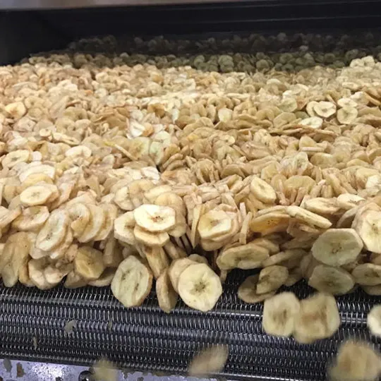 Factory Price 100 KG Banana plantain chips making machine With CE