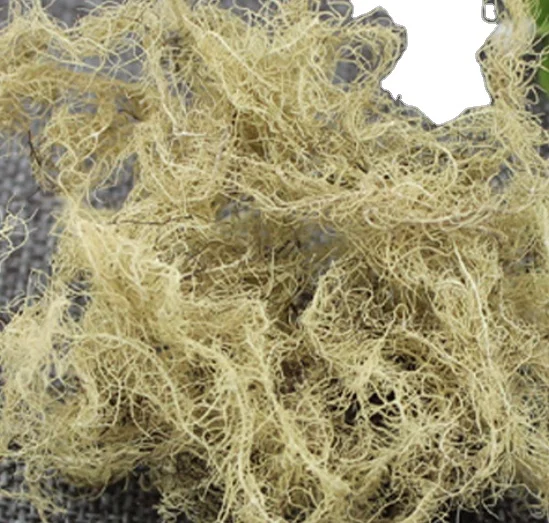 
Dried wild natural Usnea diffracta Vain whole parts 