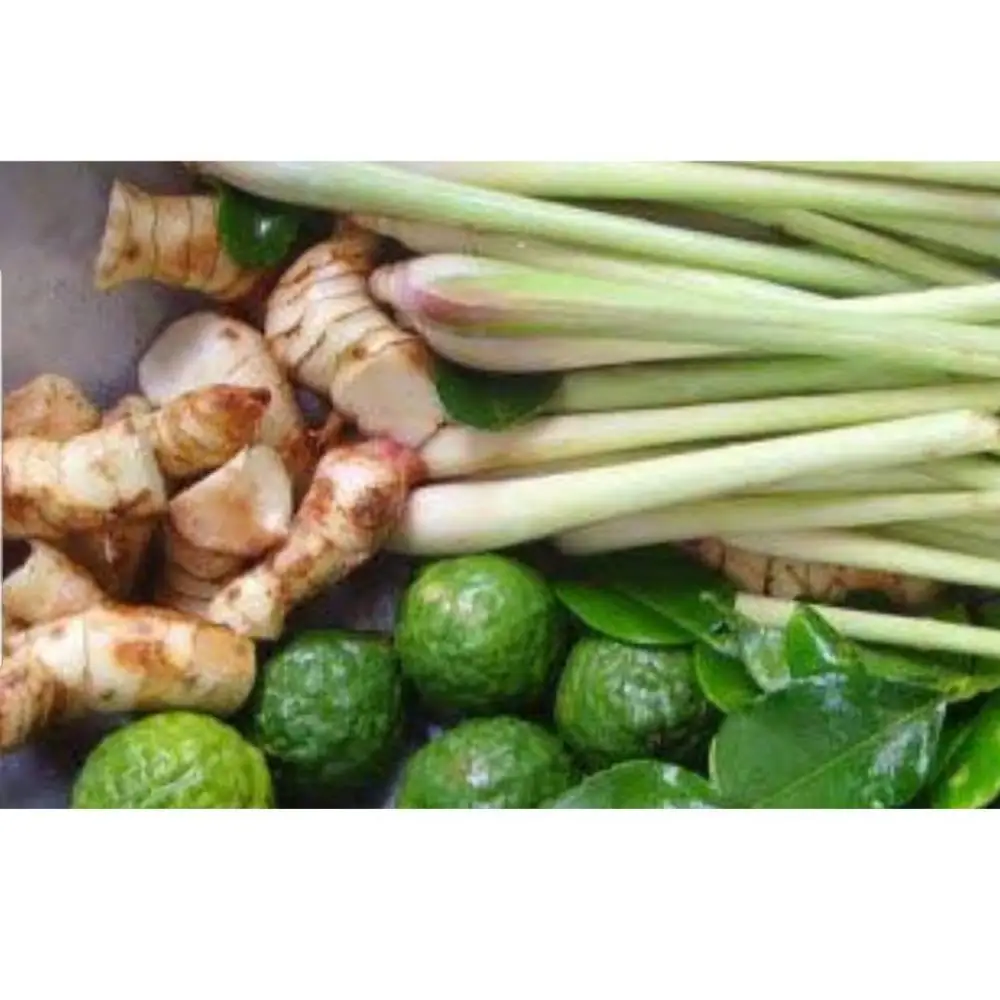 AD Fresh&Dried High Quality Thai Herbal Organic Galangal root Single Herbs & Spices Type and AD Drying Process Young Galangal