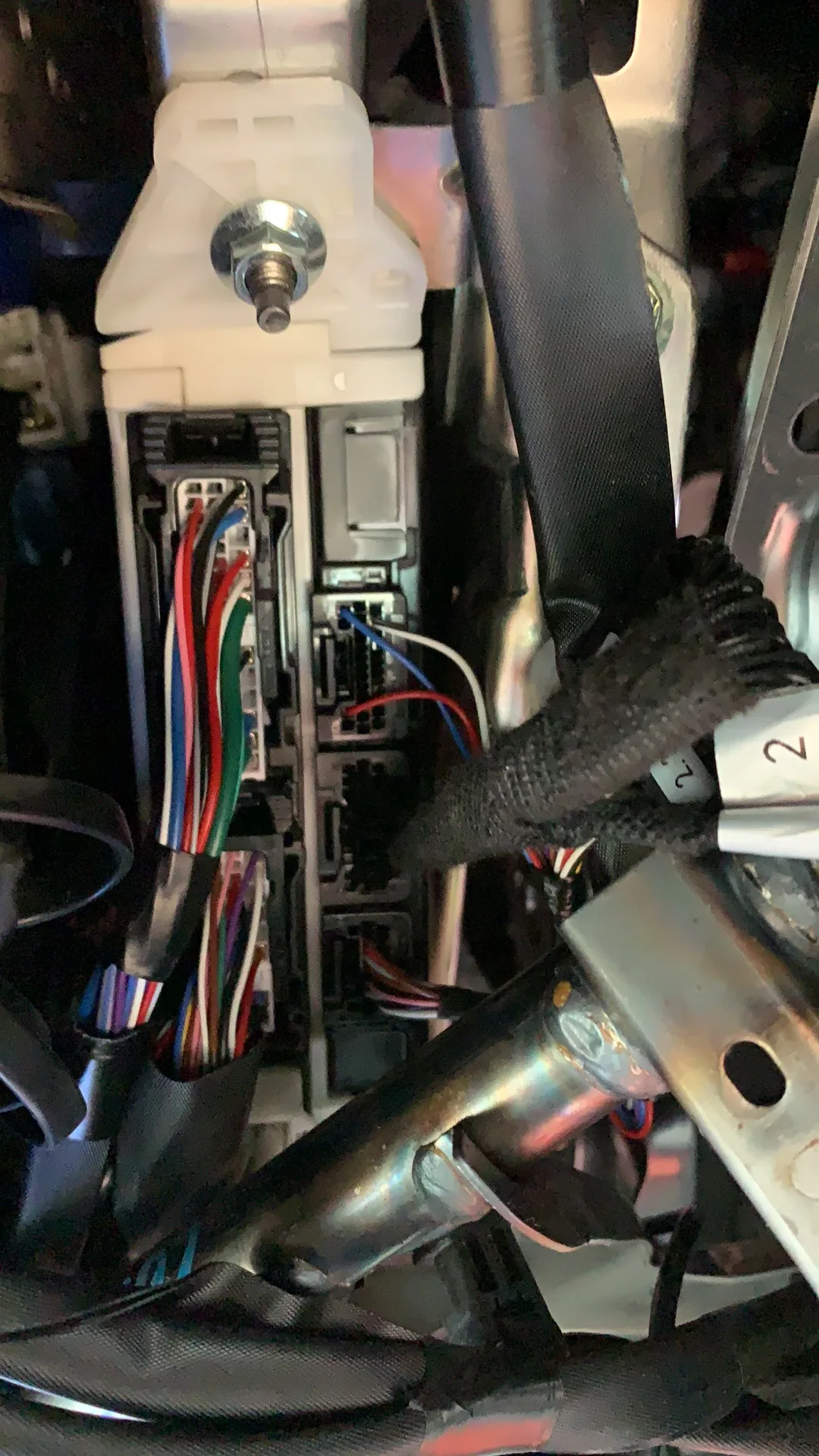 cross 2021-2022 1.jpg