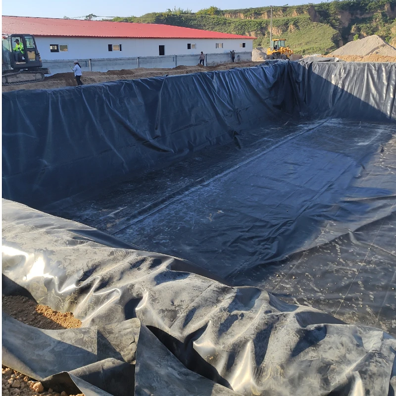 Geomembrane GM13 ASTM 0.3mm 0.5mm 0.75mm1mm HDPE liner factory price hdpe geomembrane sheet fish ponds farm tank