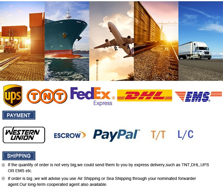Payment & Shipping