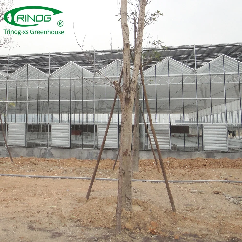 Double layer glass hydroponics greenhouse for cold weather