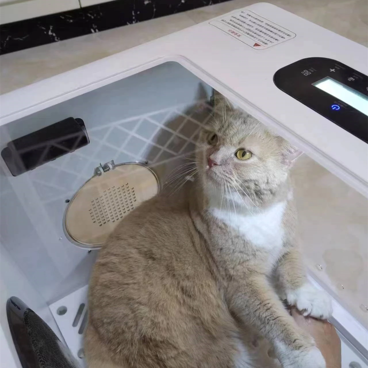 Factory Price Automatic Box Blower Hot Selling Professional Mobile Grooming Vacuum And Hair For Dog Pet Dryer