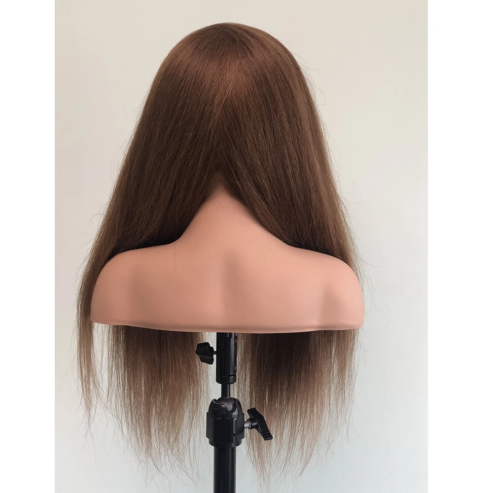 Wholesale Price Europe Face Woman Mannequin Head With Hair and Full  Shoulder for Academy School