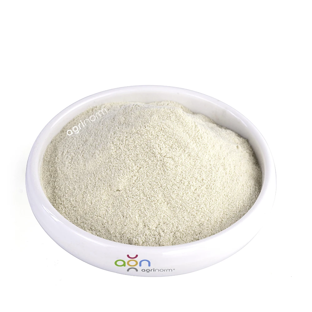 Pure 80% Amino acid powder bio organic fertilizer 100% water solubility amino acid from plants