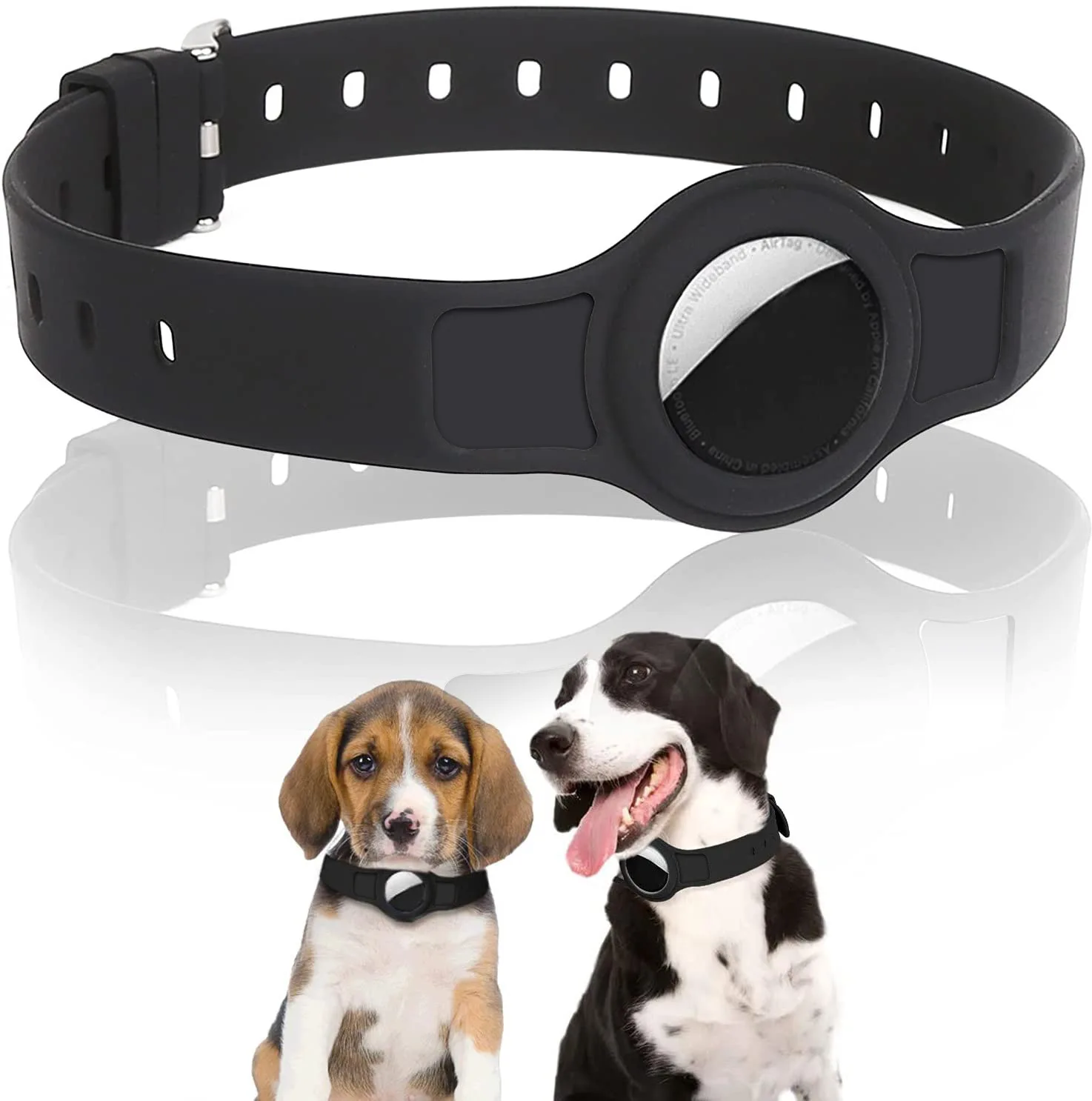 dog collar (2).jpg