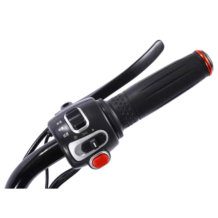 Buy 50 free 1 adult electric biycycle electric dirt bike adult